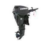 2019 EVINRUDE 15 HP E15HPGX OUTBOARD MOTOR